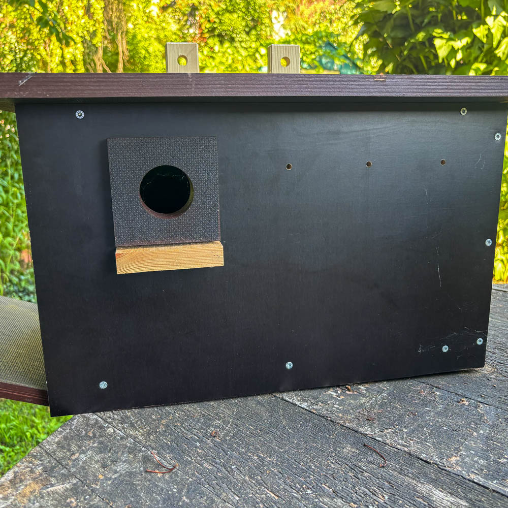 Brutkasten Wiedehopf