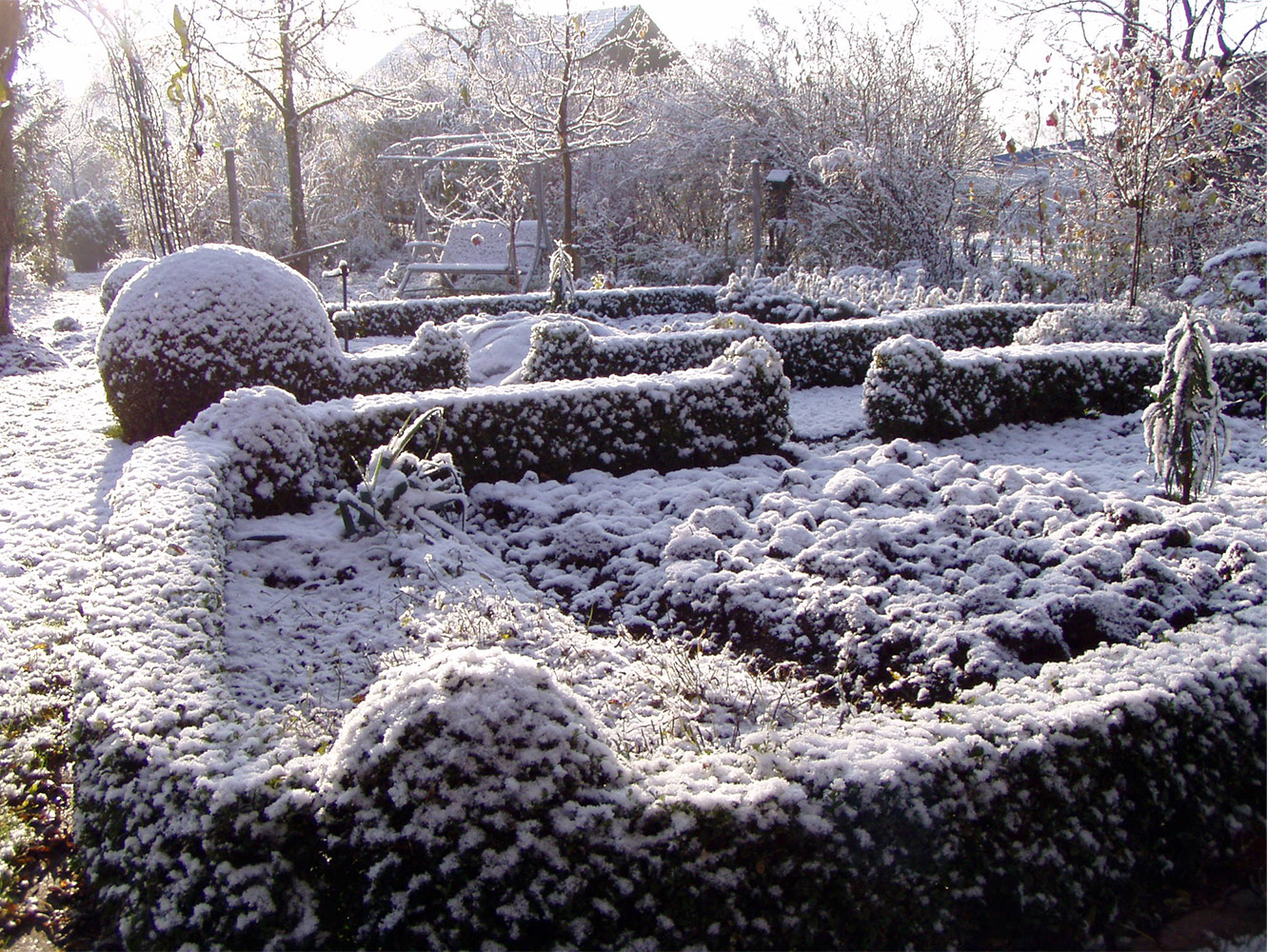 gemuesegarten-winter