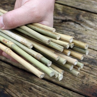 Bambusstäbe 105 cm/8-10 mm