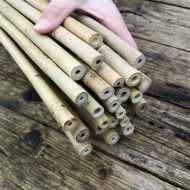100 Stück Bambusstäbe Bambusstangen 182 cm lang/ 12-14 mm dick 
