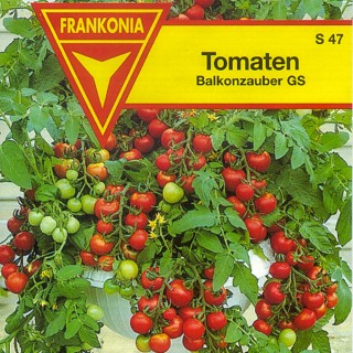 Tomaten Balkonzauber GS S 47