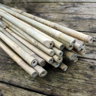 Bambusstäbe 182 cm/12-14 mm